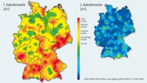 Wo die Grippewelle wütet