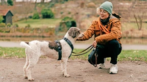 Das Problem sind die Halter