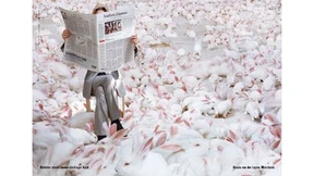 Ministerin von der Leyen als kluger Kopf in einem Mehrgenerationenhaus für Kaninchen