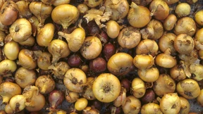 Razzia in den Zwiebeldepots