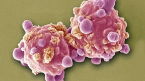 Die Verstädterung der klinischen Forschung