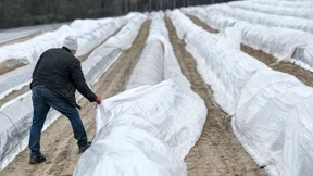Folien auf Äckern als Feinde der Natur