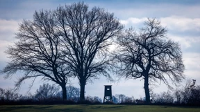 Tschechischer Jäger tötet anderen Jäger mit Kopfschuss