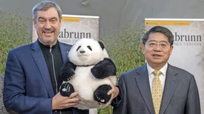 Ist das eigentlich sein Ernst?