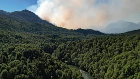 Brände zerstören tausende Hektar Wald