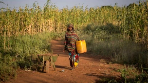 Freierer Handel könnte Afrikas Hungerproblem lindern 