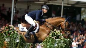 Schwabenstreich und andere Stichproben