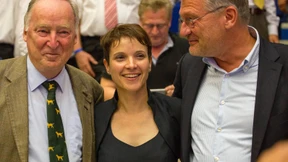 Zauberlehrlinge der AfD