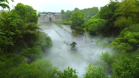 Der Mann, der einen Wald versetzte