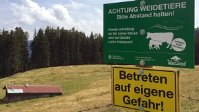 Gericht sieht bei tödlicher Kuhattacke Mitschuld des Opfers