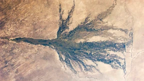 Afrikas paradiesische Lücke