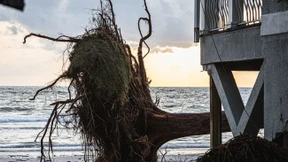 Hurrikans belasten die Rückversicherer