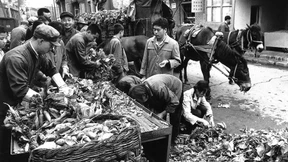 Rückkehr in ein unbekanntes Land