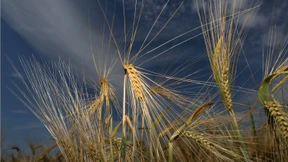 Auf Hitze folgen Blitze