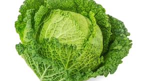 Harmonische Partnerschaft