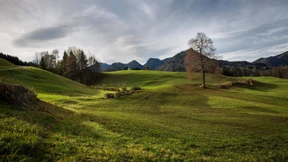 Fünf Ringe und der Hang zur Anarchie