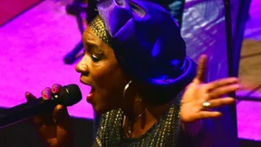 Hartnäckig und frei