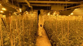 6558 Verdächtige festgenommen, 740 Millionen Euro beschlagnahmt