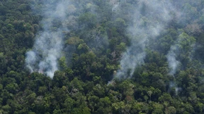 Bolsonaro schickt Armee zur Bekämpfung von Waldbränden