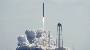 Würmer fliegen ins All