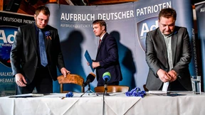 Alternative zur Alternative