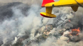 Das Feuer in Portugal wütet weiter