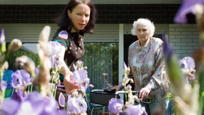 Geschäfte in der Grauzone