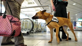 Kokain in der Schneekugel