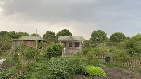 Chinesische „Schrebergarten 2.0“ auf Expansionskurs