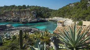 Und ewig lockt Mallorca