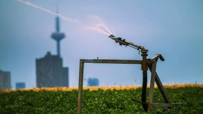 Die Juliglut tut nicht jedem gut