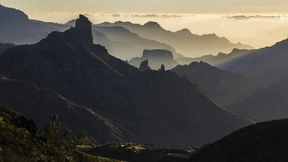 Die Flucht ins Leben