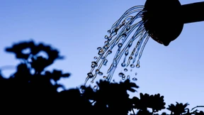 Ende der Hitze in Deutschland in Sicht