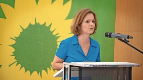 Grüne wollen Flagge zeigen