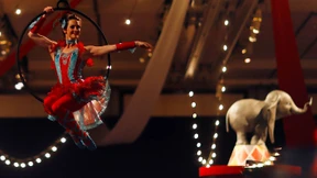 „Dumbo“ kehrt auf die Leinwand zurück