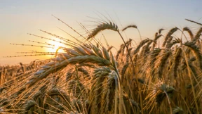 Wenn Richter den Klimafleiß schüren