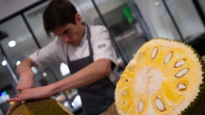 Die Jackfruit auf dem Weg zur Trendfrucht