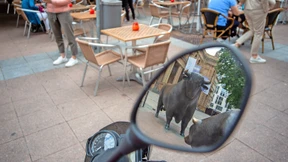 Das Jahr der Börsengänge