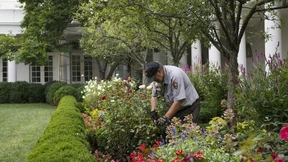 Gebrochenes Versprechen