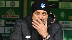 VfB holt Matarazzo als neuen Trainer