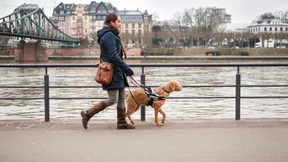 Leberwurst an der Bordsteinkante