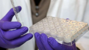 Künstliche Haut von der Stange 