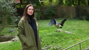 Hässliches Internet, schöne Phantasie