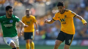 Fragwürdige Geschäfte bei den Wölfen