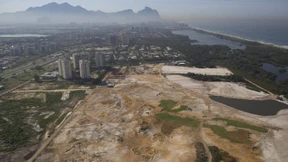 Lieber Tiere als Tiger Woods