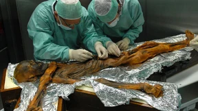 Das war Ötzis letztes Mahl