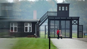 Früh gelernt, zu gehorchen