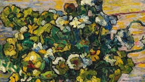 Pfingstrosen aus Arles?