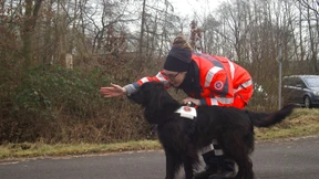 Vom Problemhund zum Retter