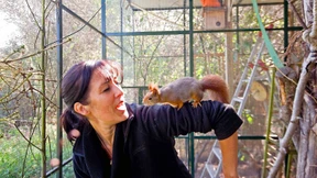 Wache Hörnchen und müde Bilche